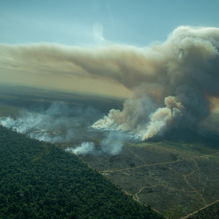 Krav til frihandelsavtalen mellom EFTA og MERCOSUR:  Opprett et sivilsamfunnsforum