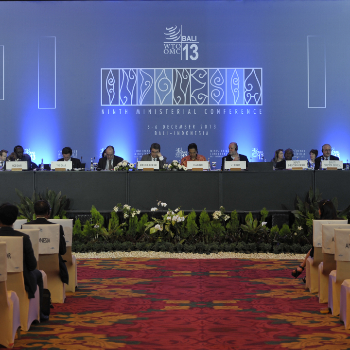 Opening the WTO ministerial: What are the issues?